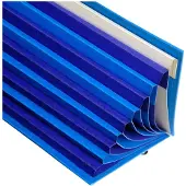 Exacompta Forever Sorteermap 52982E A4 Karton Lichtblauw 24,3 (B) x 1,3 (D) x 32,8 (H) cm 6 Stuks