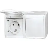 Busch-Jaeger SCHUKO dubbele stopcontact, 20/2EW-54, horizontaal, met klapdeksel, beletteringsveld, IP44, alpinwit, 1 stuk.