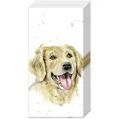 IHR Zakdoeken 6 pakjes - Farmfriends 'Dog' Golde retriever