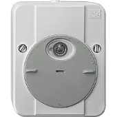 Schneider ARGUS schemerschakelaar 544829, zonder vertraging, lichtgrijs
