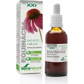 Soria natural Echinacea purpurea XXI