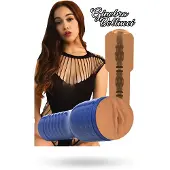 Private Masturbator Ginebra Pornstar Pussy
