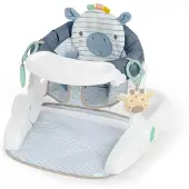 Ingenuity Casi de Zebra Activiteitencentrum
