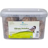 Vogelbescherming Vetbol Met Insecten 30 Stuks