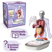 Canal Toys Human Body Voicepedia Roze Kinderen
