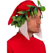 Carnival Toys hoed Dante Alighieri heren canvas rood/groen