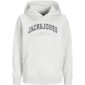 Jack & Jones Junior Sweatshirt 'JJECaleb' lichtgrijs / zwart / wit