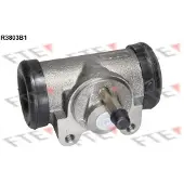 FTE R3803B1 Wielremcilinder