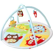 Skip Hop Explore and More Funscape Activity Gym