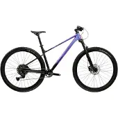 KROSS Level X300 29´´ Cues U6000 2026 Mountainbike