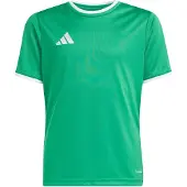 Adidas Functioneel shirt 'ENT26' groen / wit
