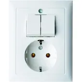 Hager Berker S1-serie wandcontactdoos met afdekplaat - 6143551949
