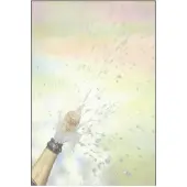 Sigel DP297 Design papier A4 Mat 90 g/m² 21 x 29,7 cm Champagne 100 Vellen