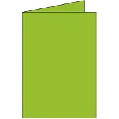 Clairefontaine Pollen - Dubbele Kaart - 110x155mm - C6 - Munt - Intensief Groen