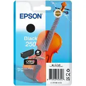 Epson 250 (C13T16N14010) Inktcartridge Zwart