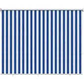 vidaXL Buitenrolgordijn, 90% UV-blokkering, blauw-wit gestreept, 140 x 230 cm, HDPE