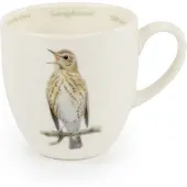 Cj Wildlife Mok Zanglijster | Vivara | Servies | Illustratie van Elwin van der Kolk | Partner van Vogelbescherming Nederland | Koffiemok met afbeelding lijster