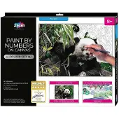 Zieler Paint By Numbers Panda Schilderset