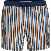 O'Neill Zwemshorts pastelblauw / donkerblauw / cognac