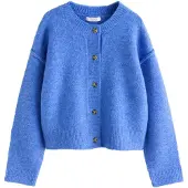 Next Gebreid vest kobaltblauw