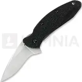 Kershaw Scallion vouwmes