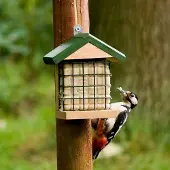 Cj Wildlife Vetblokhouder Wolga | | Voedersystemen | Partner van Vogelbescherming Nederland