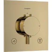 Hansgrohe Afbouwdeel Ecostat Comfort E Inbouwthermostaat Voor 2 Functies Goud