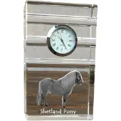 Art-Dog Klok – Shetlandpony