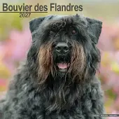 Avonside Publishing Ltd. Bouvier Kalender 2027