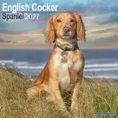 Avonside Publishing Ltd. Engelse Cocker Spaniel Kalender 2027