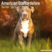 Avonside Publishing Ltd. American Staffordshire Terrier Kalender 2027