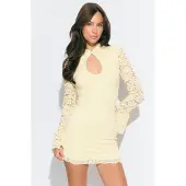 Gina Tricot Slim fit mini-jurk met all-over kant