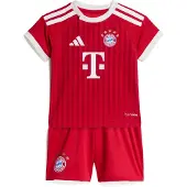 Adidas Trainingspak 'FC Bayern München 26/27' rood / donkerrood / wit