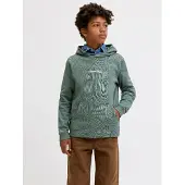 Jack & Jones Hoodie Boys 140 Groen