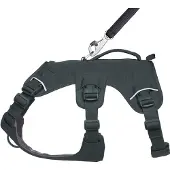 Ruffwear Webmaster Harness