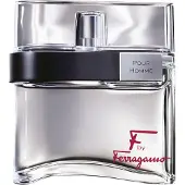 Ferragamo S. F Pour Homme Edt Spray100 ml.