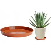 Galicja Houten standaard voor een terracotta bloempot van 19 cm