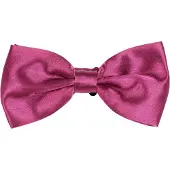 Suitable Satijnen Strik Aubergine Rood -