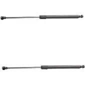 RIDEX 219G3149 Gasveer achterklep