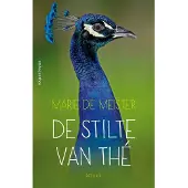 Ambo/Anthos Uitgevers De stilte van Thé (Paperback)