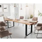 DELIFE Eettafel Classic-Edge 260x100 acacia natuur frame hoekig metaal zwart