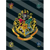 SimbaShop Harry Potter Fleece deken Logo - 100 x 150 cm - Polyester