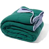 HEMA Bedsprei 260x235cm jersey groen-lila (groen)