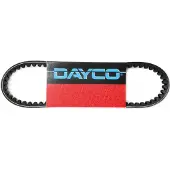 DAYCO Standard Cvt8254 Vario Riem