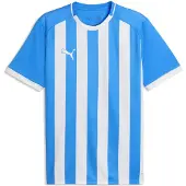 Puma teamLIGA26 Striped Voetbalshirt Blauw Wit
