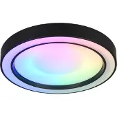 TRIO LED Plafondlamp | Arco | Rond | 2700-6000K | Zwart | IP20 | 22W | Lighting