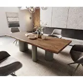 DELIFE Eetkamertafel Edge 260x100 XL acacia bruin Troa metaal effectafwerking titaan Live-Edge