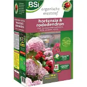 Bsi Hortensia & rododendron mest | | 40 m²