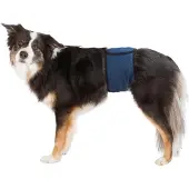 Trixie Plasband voor Reuen S 29/37cm Blauw