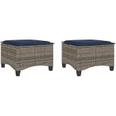 vidaXL Tuinkrukken met kussens 2 st 55x55x36 cm poly rattan grijs